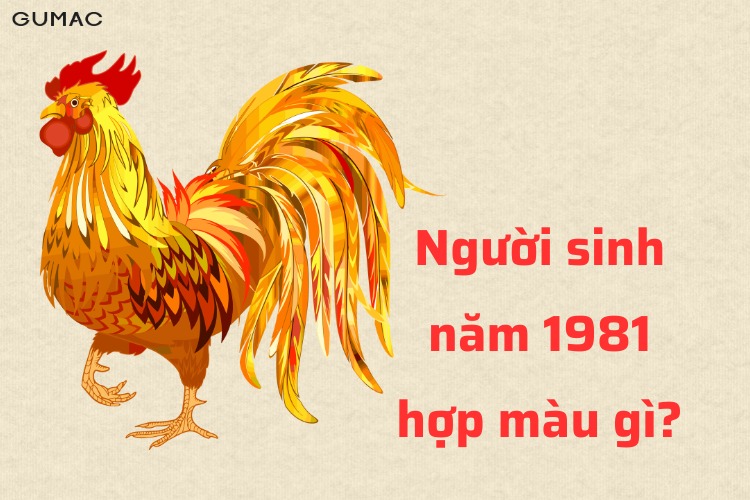 nguoi sinh nam 1981 hop mau gi