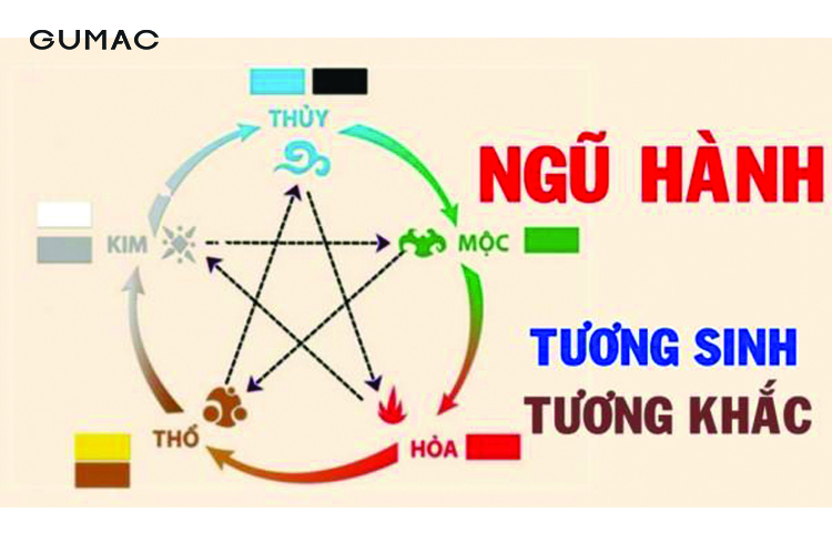 nguoi tuoi dau 1981 khac mau gi