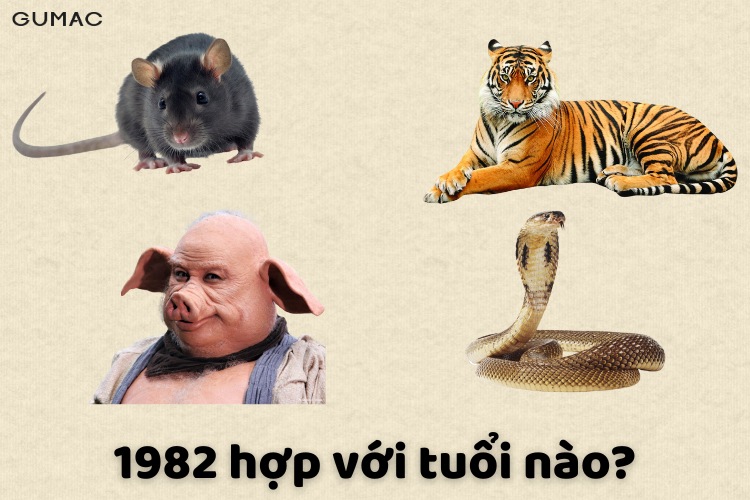 1982 tuoi Nham Tuat hop voi tuoi nao