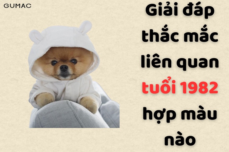 tuoi 1982 hop va ky mau gi