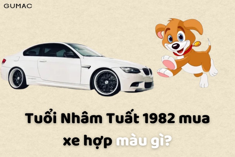 nham tuat 1982 ne mua xe gi