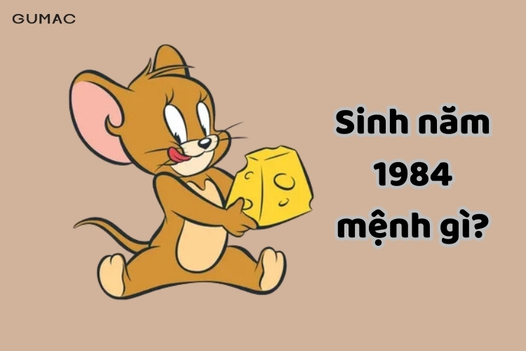 sinh nam 1984 menh gi