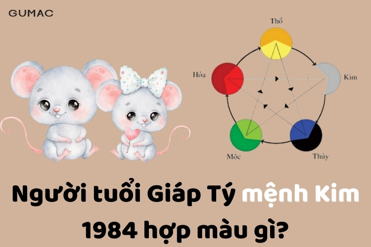 menh Kim tuoi giap ty hop mau gi