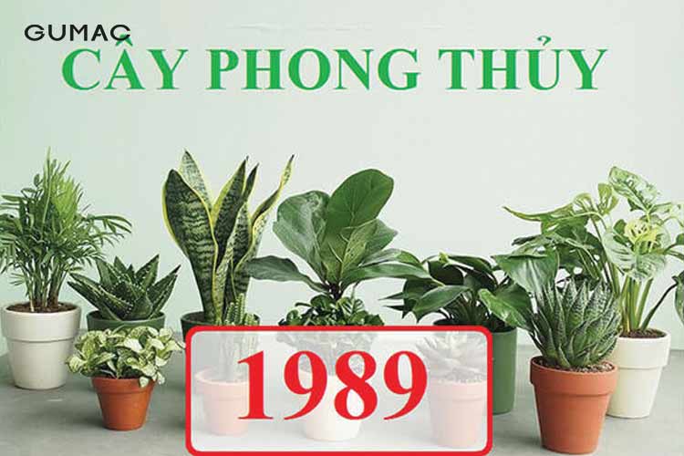 Mệnh Mộc 1989 hợp cây gì Mệnh Mộc 1989 hợp cây gì