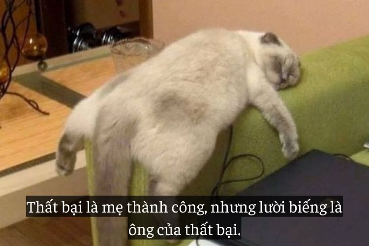 Status - Caption hai huoc cho ban