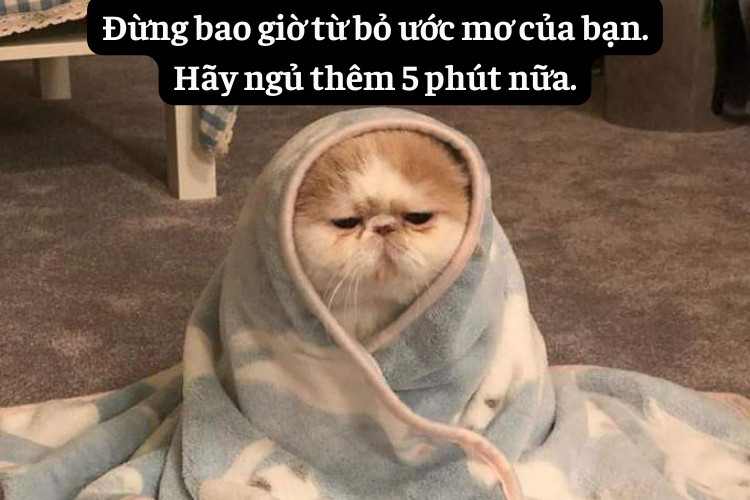 Cac cau trich dan hai huoc ba dao