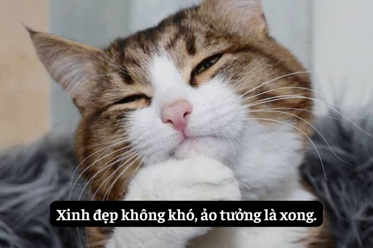 Caption hai huoc ba dao khong the do duoc