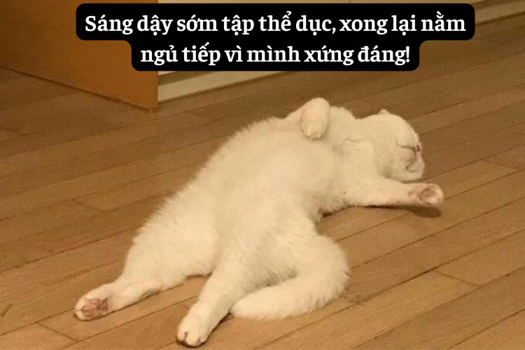 Caption hai huoc lem linh