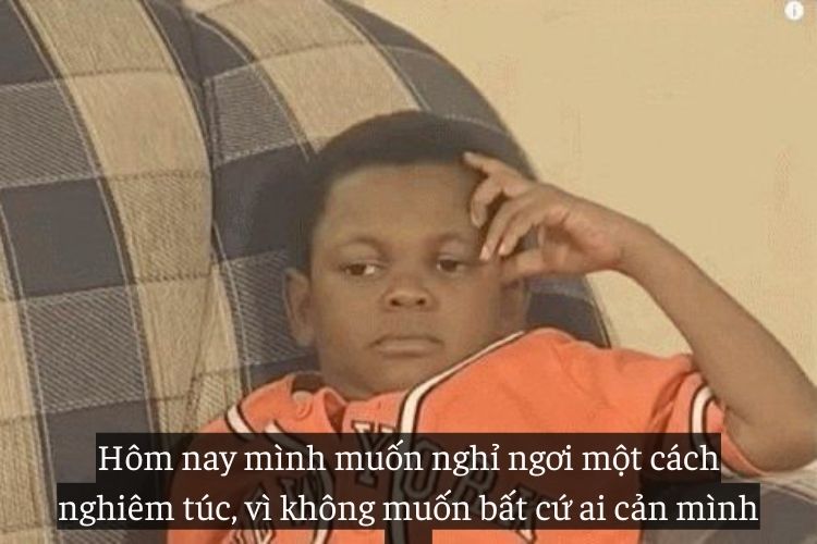 STT troll nhau cuc hai huoc