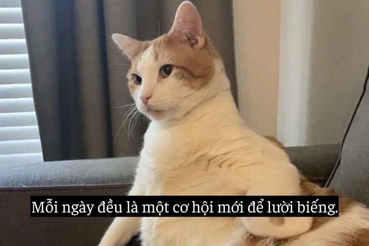 cap hai huoc ngan cho gen z