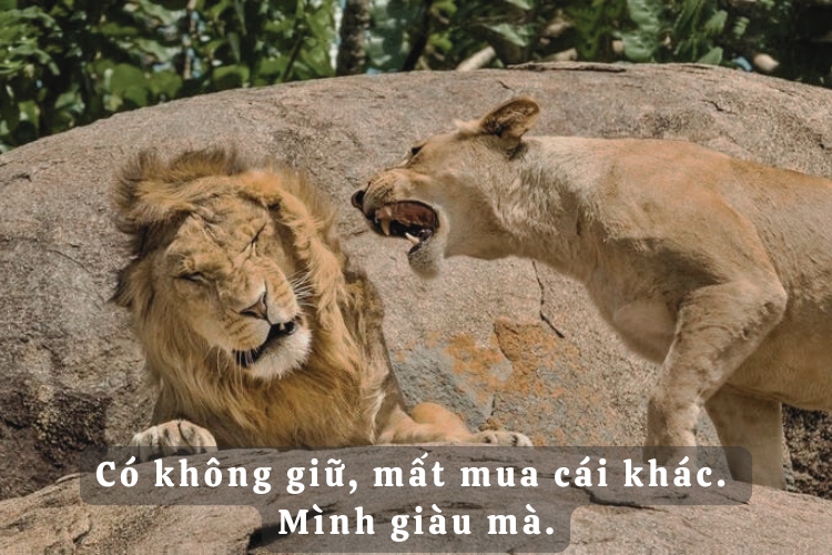 tong hop nhung cau stt hai huoc kho do