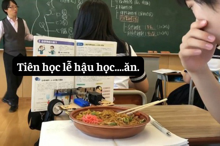 STT troll nhau hai huoc ba dao