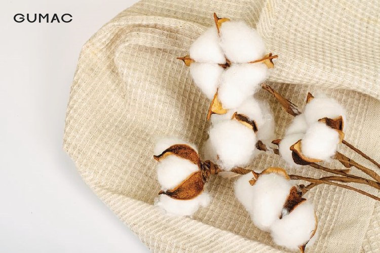 Cotton thiên nhiên Cotton thiên nhiên