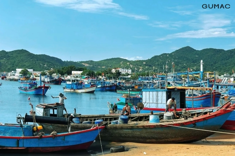 nhung luu y khi di du lich tai ninh thuan