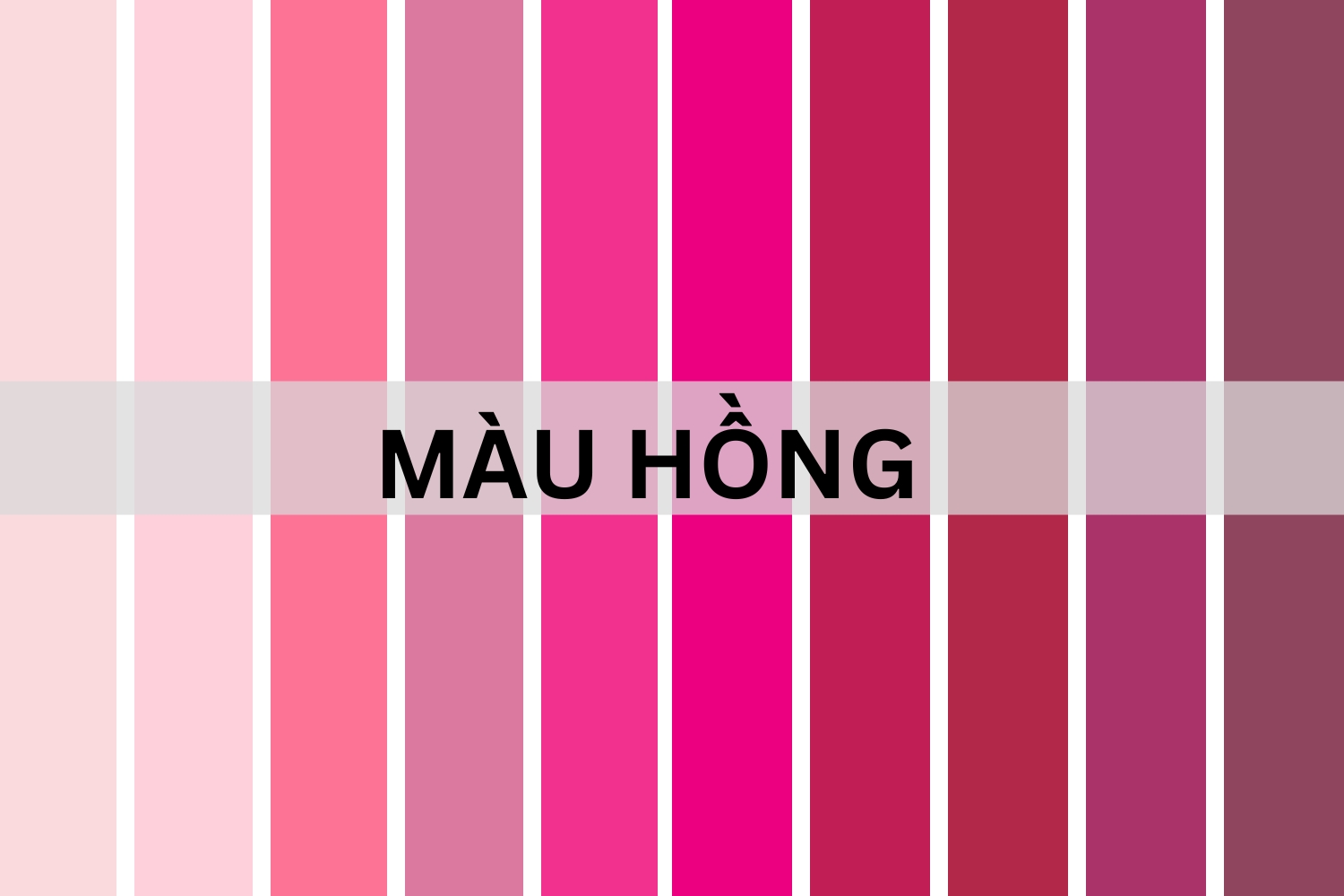 Mau hong nhieu sac do