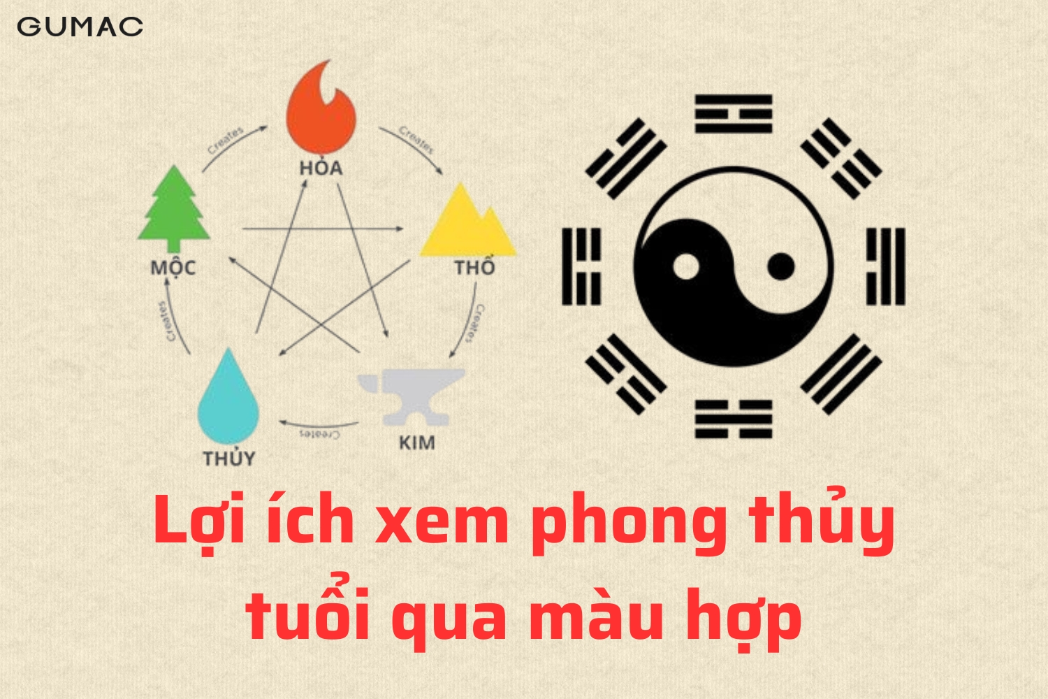 loi ich xem phong thuy tuoi qua mau hop