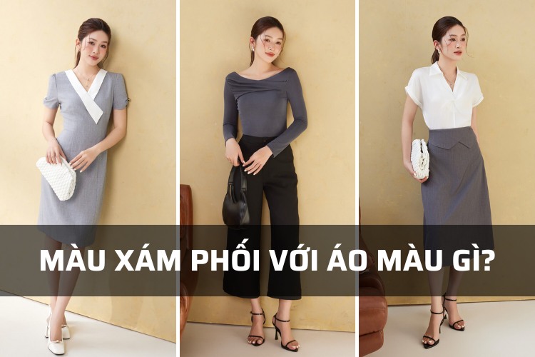 Màu xám phối với màu gì Màu xám phối với màu gì