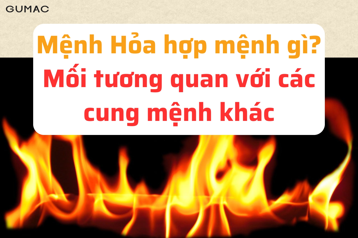 Nữ mệnh Hỏa hợp màu gì nu menh hoa hop mau gi 2026