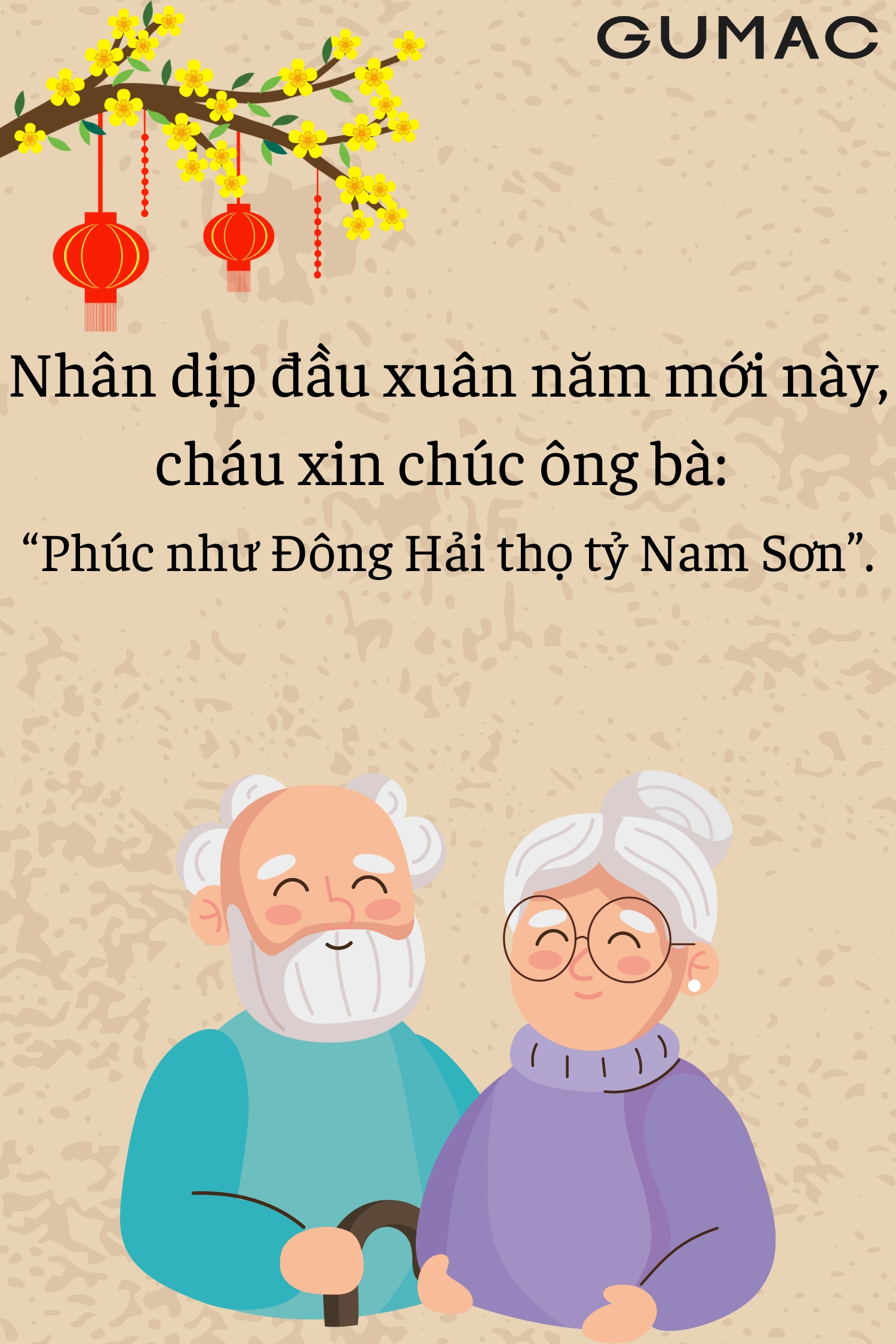 nhung cau chuc tet hay ngan gon danh tang cho ong ba va nguoi lon tuoi