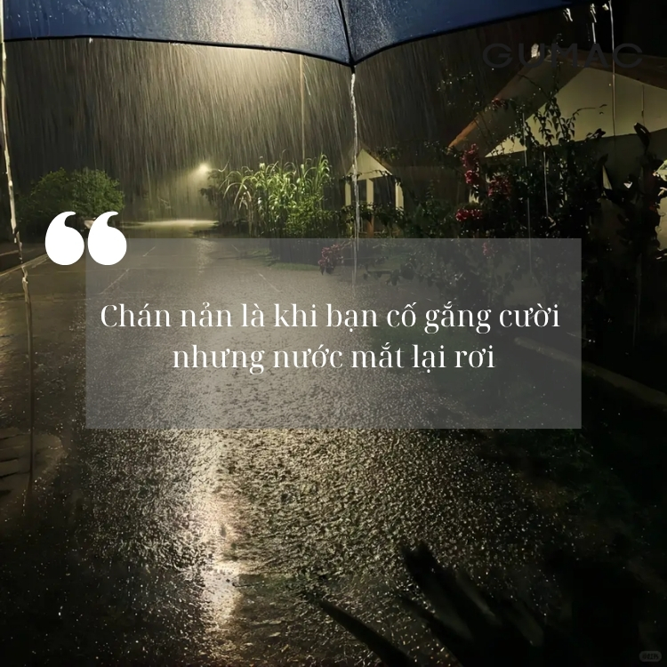 stt ve cuoc song vo thuong