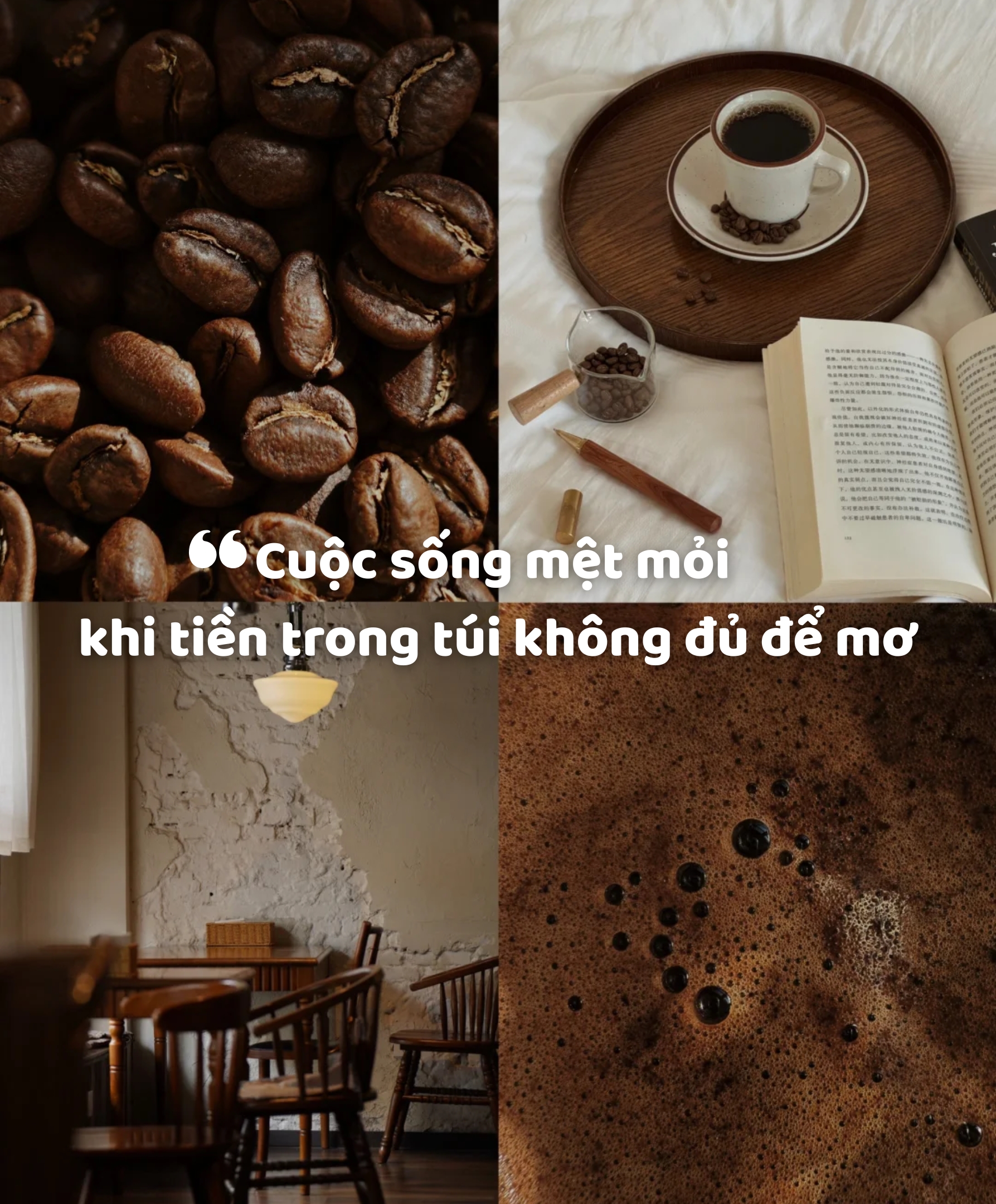 stt gia tri cuoc song