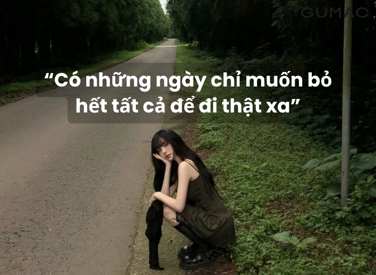 stt ve cuoc song buon