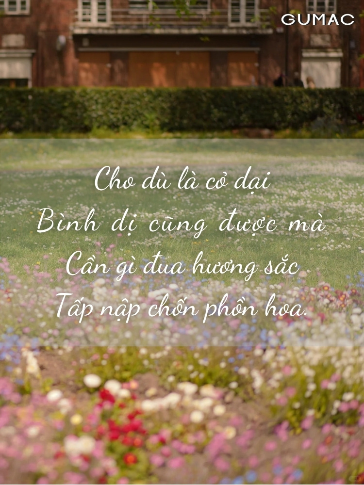 stt ve cuoc song an nhien binh di