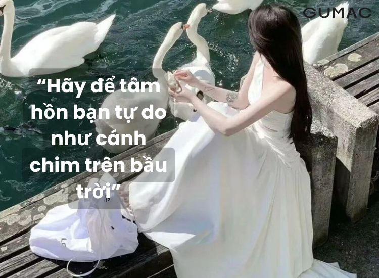 stt hay ve cuoc song vui ve