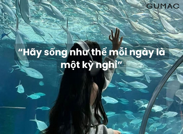 stt nang luong cuoc song