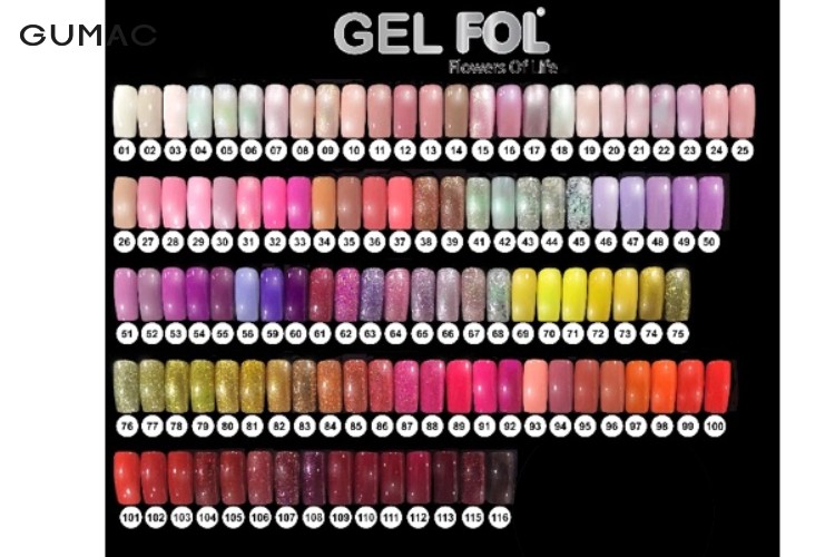 Bảng màu sơn gel FOL Bảng màu sơn gel FOL