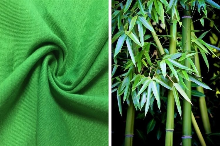 Vải bamboo Vải bamboo