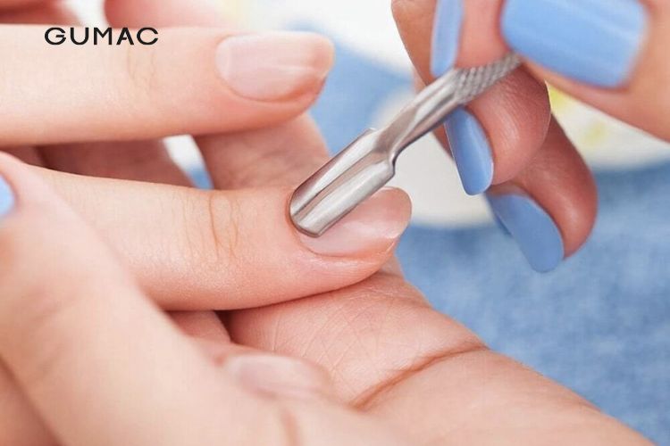 Tạo hình ban đầu cho móng Tạo hình ban đầu cho móng