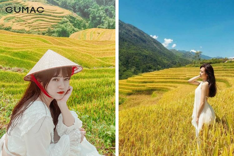 Những kiểu sống ảo cùng cánh đồng lúa cực thơ mộng Những kiểu sống ảo cùng cánh đồng lúa cực thơ mộng