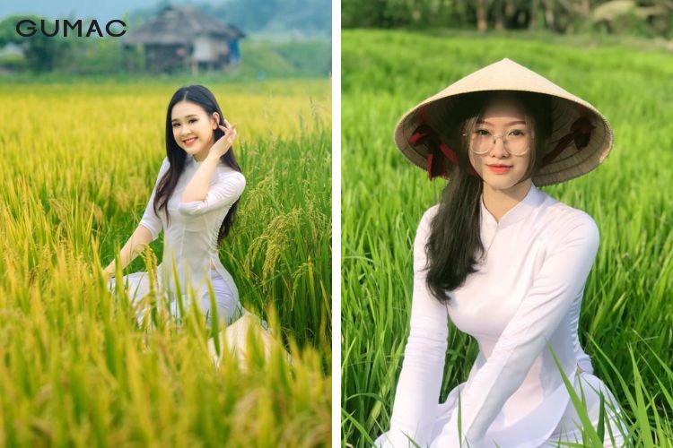 Tà áo dài truyền thống chụp hình với cánh đồng lúa Tà áo dài truyền thống chụp hình với cánh đồng lúa