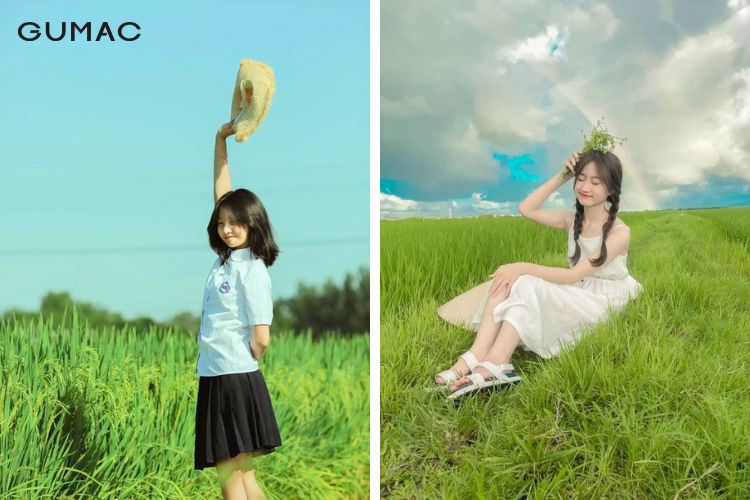 Khoảng thời gian phù hợp để chụp hình cây lúa Khoảng thời gian phù hợp để chụp hình cây lúa