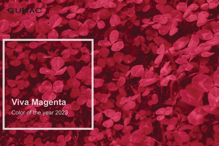 Khái niệm màu Viva Magenta của năm 2023 Khái niệm màu Viva Magenta của năm 2023