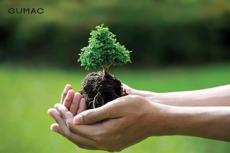 Những điều cần biết về mệnh Mộc nhung dieu can biet ve menh moc