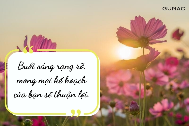 loi chuc ngay moi binh an gui den dong nghiep