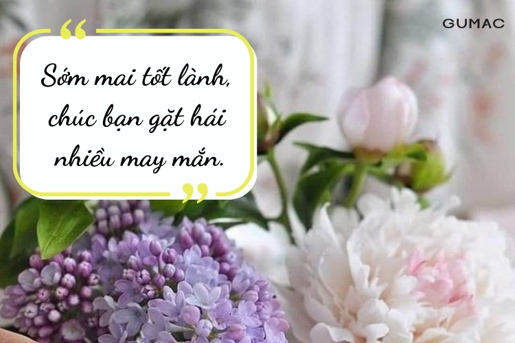 stt chuc ngay moi vui tuoi danh cho ban be than thiet