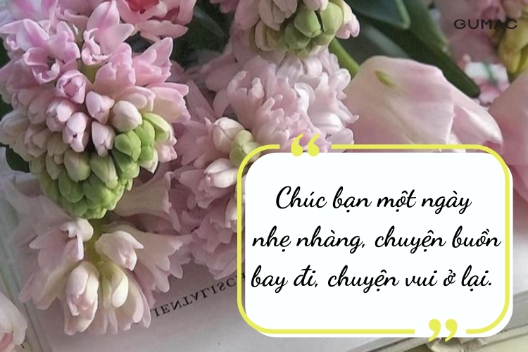 stt ve buoi sang vui tuoi danh cho ban be than thiet