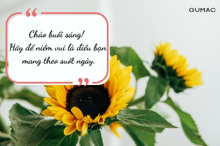 loi chuc ngay moi thanh cong binh an cho ban be