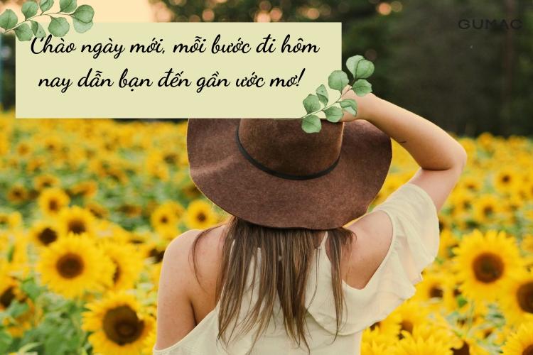 stt nang luong tich cuc cho ngay moi
