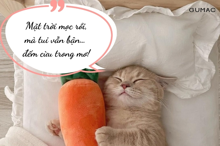 stt chao ngay moi hai huoc vui nhon