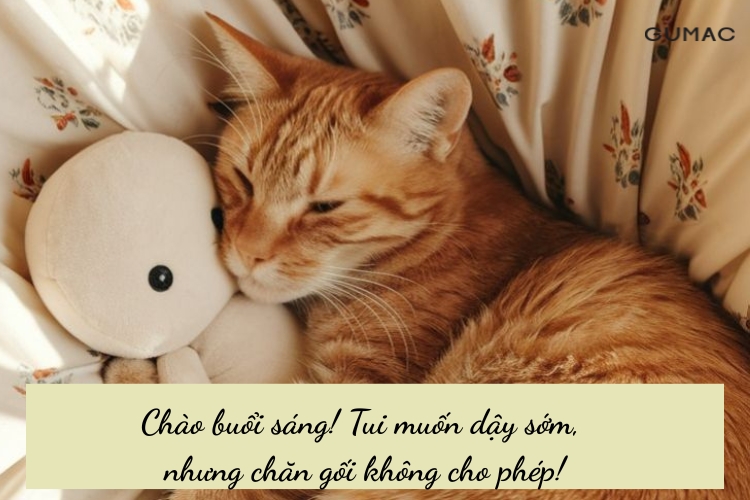stt sang som hai huoc ve luoi day