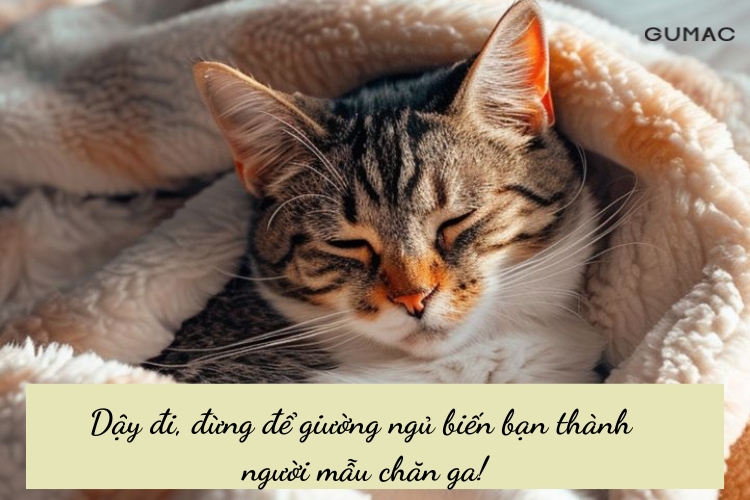 stt hai huoc ve luoi day