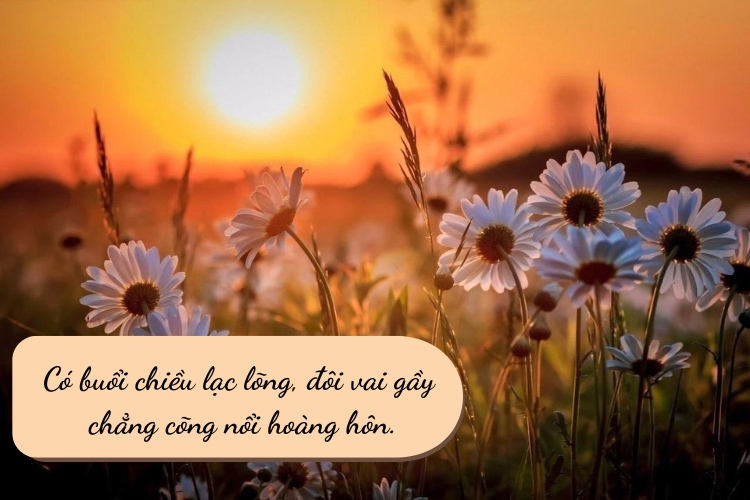 stt hay ve hoang hon sau lang tam trang