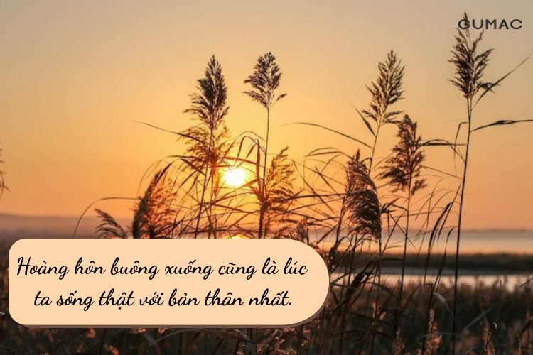 stt ve hoang hon buon sau lang tam trang