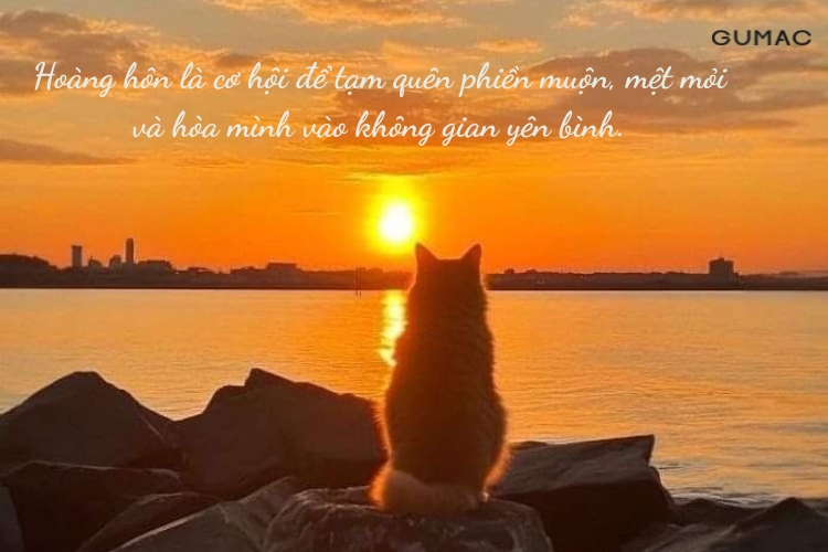 stt hoang hon tich cuc nang luong