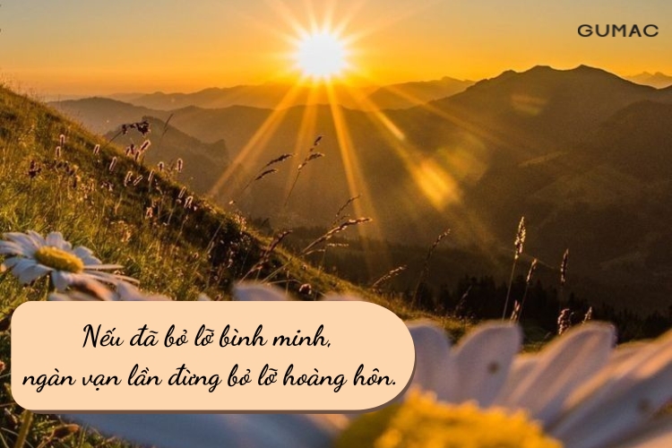 stt ve hoang hon hay de dang story