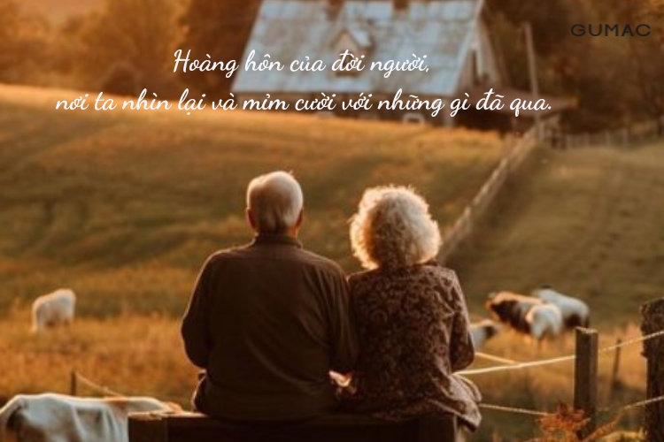 stt ve tuoi xe chieu nhung cau noi hay ve tuoi xe chieu